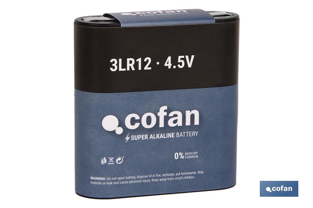BLISTER 1 PILA ALCALINA 3LR12/4,5V